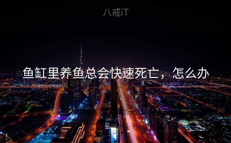 鱼缸里养鱼总会快速死亡，怎么办