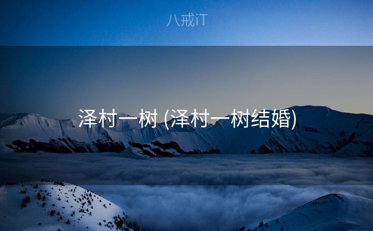 泽村一树 (泽村一树结婚)