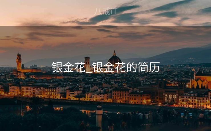 银金花_银金花的简历