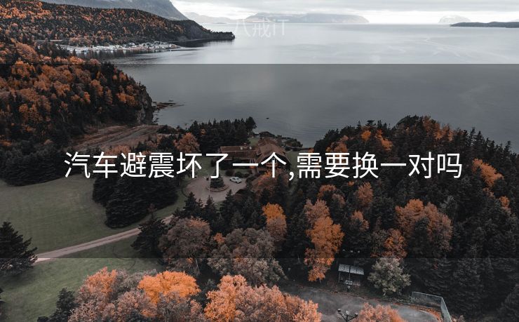  汽车避震坏了一个,需要换一对吗