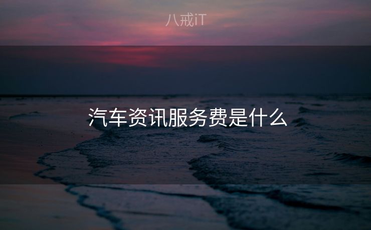  汽车资讯服务费是什么