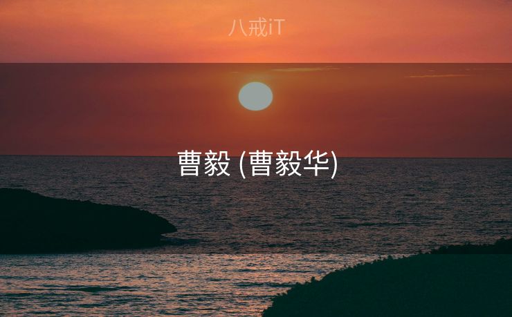 曹毅 (曹毅华)