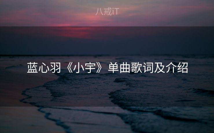 蓝心羽《小宇》单曲歌词及介绍