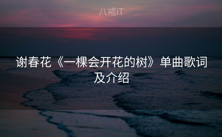 谢春花《一棵会开花的树》单曲歌词及介绍