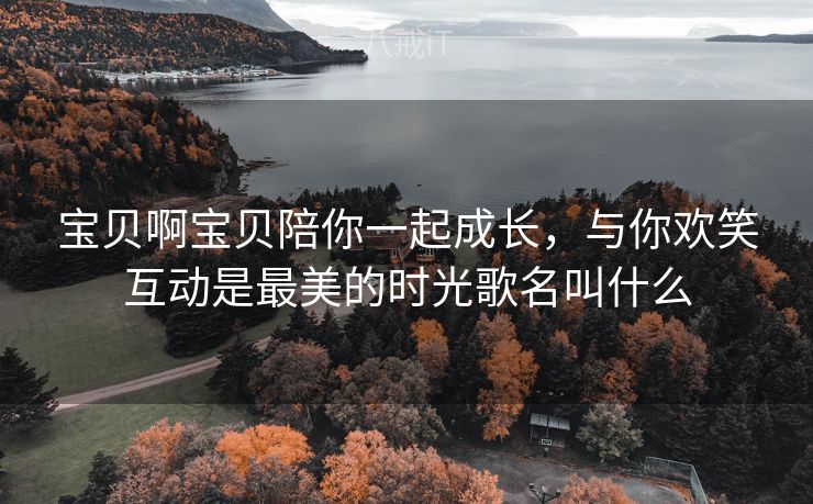 宝贝啊宝贝陪你一起成长，与你欢笑互动是最美的时光歌名叫什么