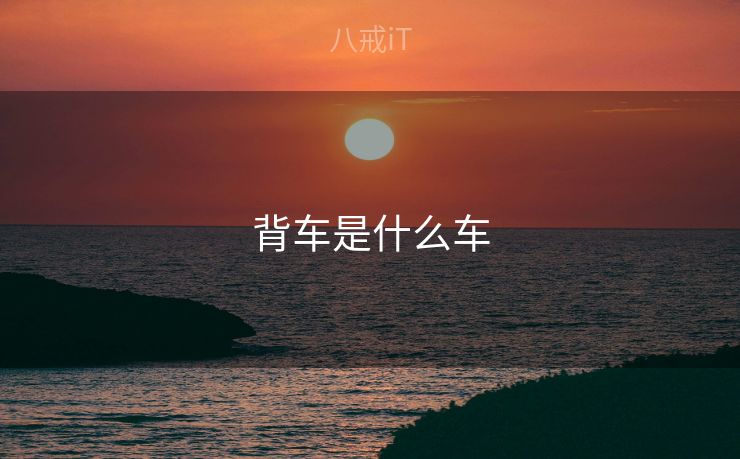 背车是什么车