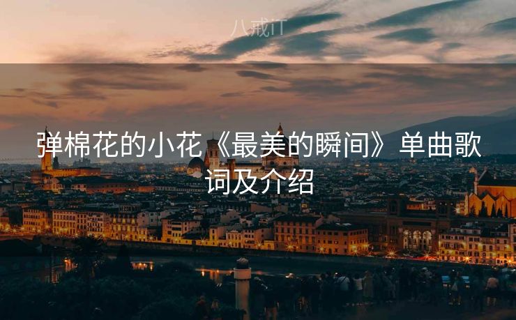 弹棉花的小花《最美的瞬间》单曲歌词及介绍
