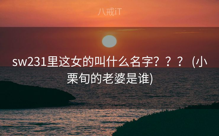 sw231里这女的叫什么名字？？？ (小栗旬的老婆是谁)