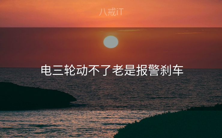 电三轮动不了老是报警刹车