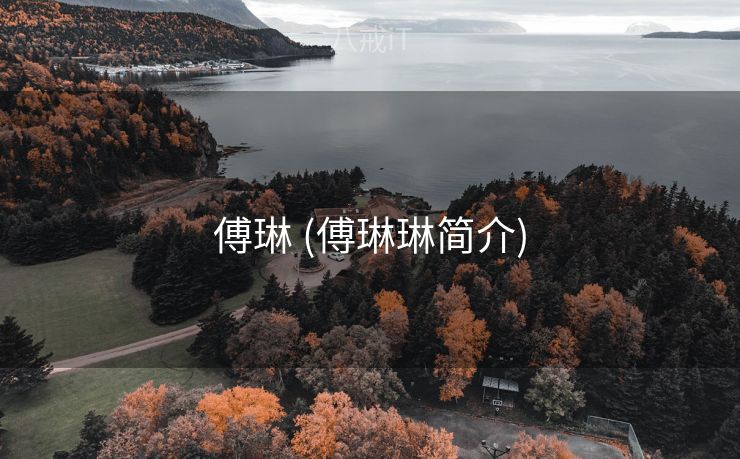 傅琳 (傅琳琳简介)