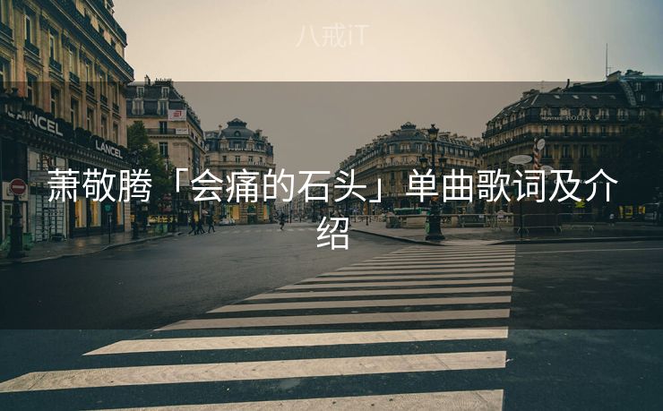 萧敬腾「会痛的石头」单曲歌词及介绍