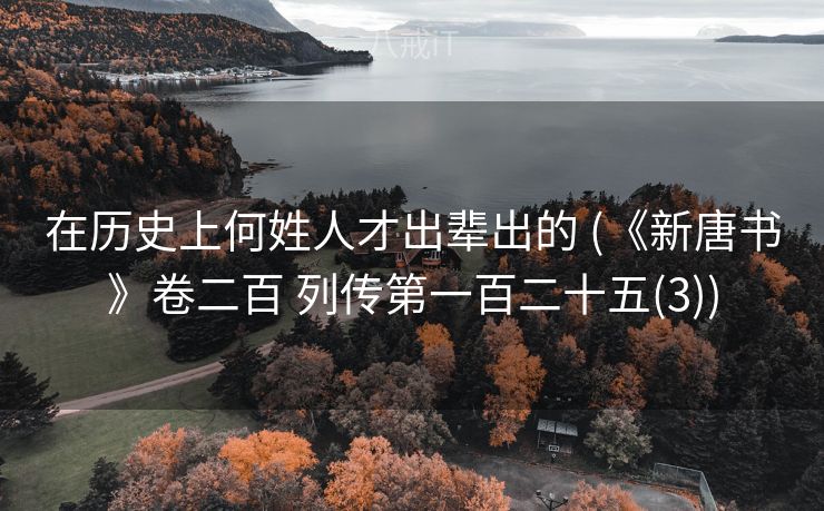 在历史上何姓人才出辈出的 (《新唐书》卷二百 列传第一百二十五(3))