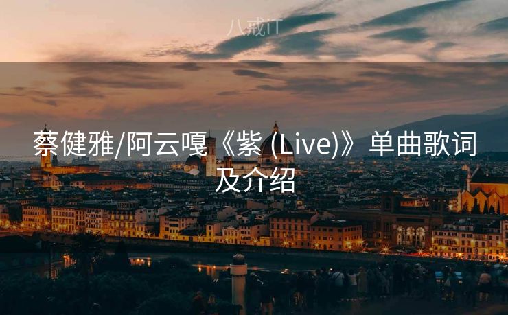 蔡健雅/阿云嘎《紫 (Live)》单曲歌词及介绍