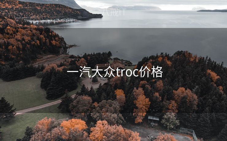  一汽大众troc价格