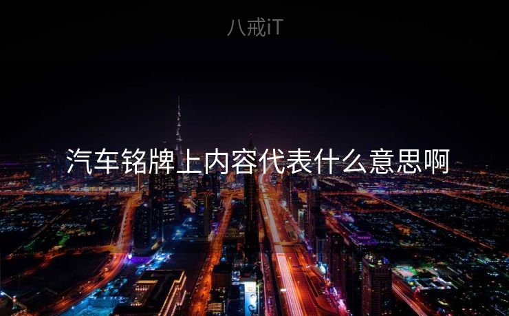 汽车铭牌上内容代表什么意思啊