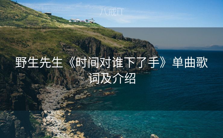 野生先生《时间对谁下了手》单曲歌词及介绍