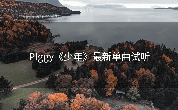 PIggy《少年》最新单曲试听
