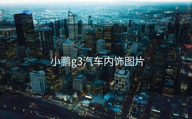  小鹏g3汽车内饰图片