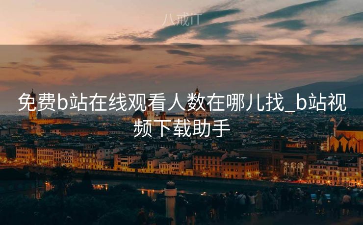 免费b站在线观看人数在哪儿找_b站视频下载助手