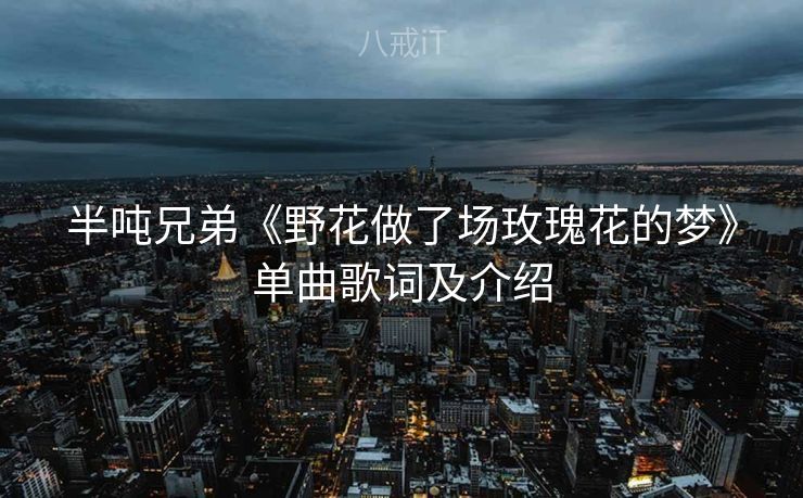 半吨兄弟《野花做了场玫瑰花的梦》单曲歌词及介绍