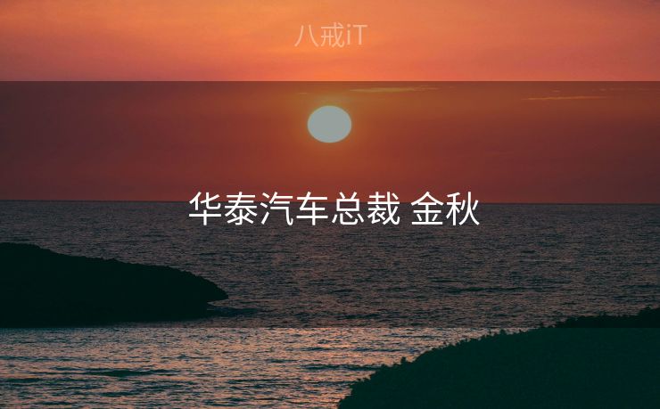  华泰汽车总裁 金秋