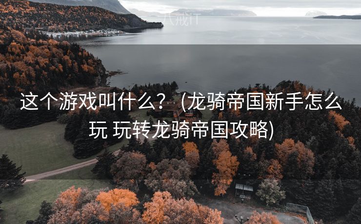 这个游戏叫什么？ (龙骑帝国新手怎么玩 玩转龙骑帝国攻略)