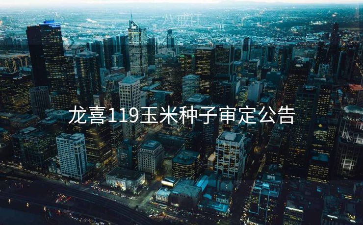 龙喜119玉米种子审定公告