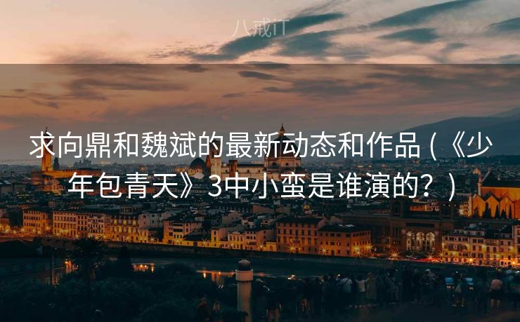 求向鼎和魏斌的最新动态和作品 (《少年包青天》3中小蛮是谁演的？)