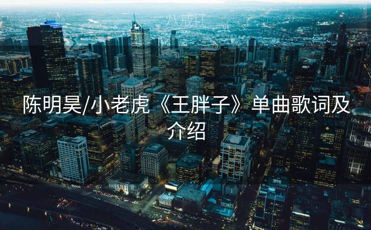 陈明昊/小老虎《王胖子》单曲歌词及介绍