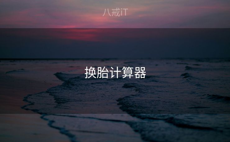 换胎计算器