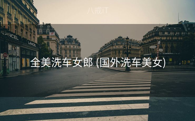 全美洗车女郎 (国外洗车美女)