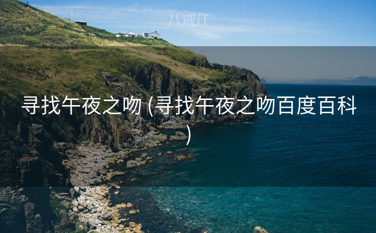 寻找午夜之吻 (寻找午夜之吻百度百科)