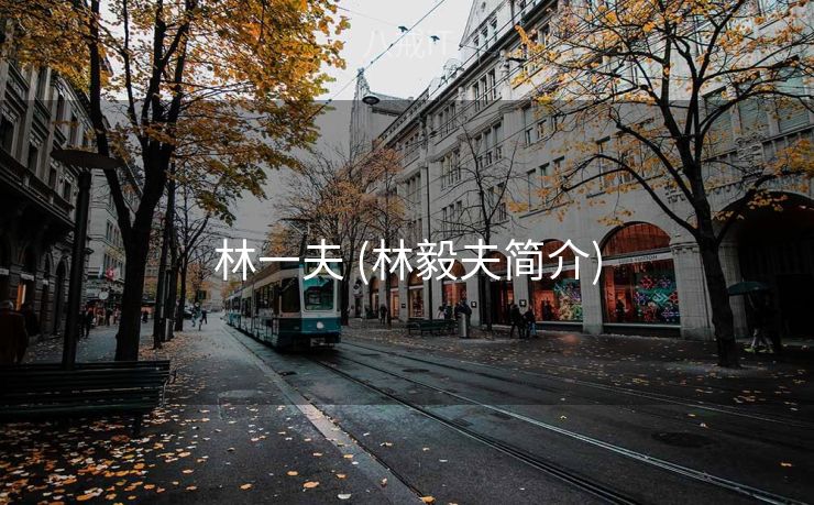 林一夫 (林毅夫简介)