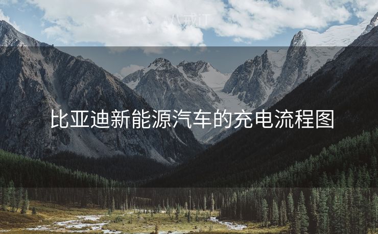  比亚迪新能源汽车的充电流程图