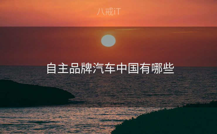  自主品牌汽车中国有哪些