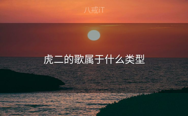 虎二的歌属于什么类型