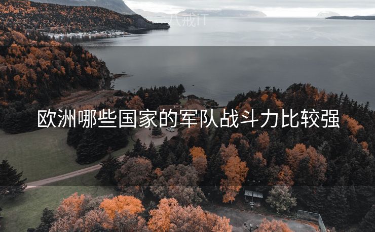 欧洲哪些国家的军队战斗力比较强