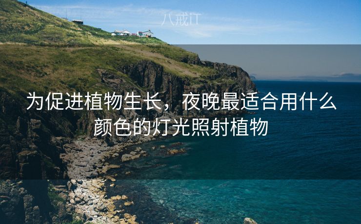 为促进植物生长，夜晚最适合用什么颜色的灯光照射植物
