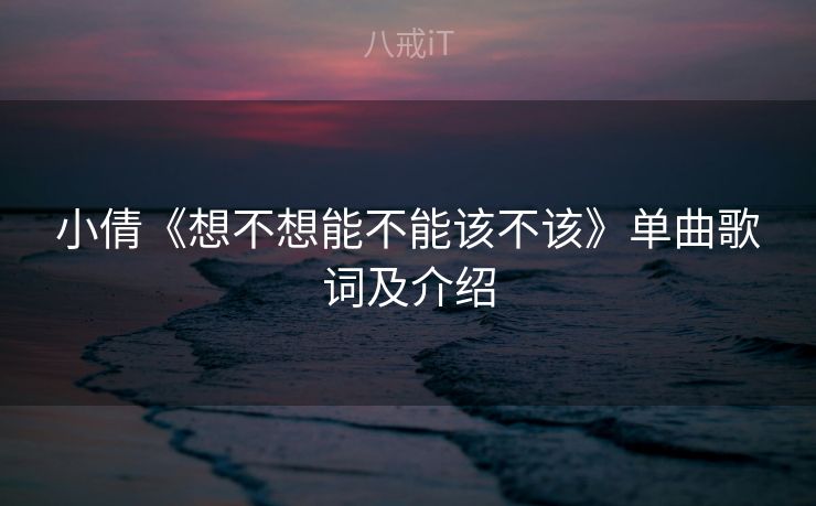 小倩《想不想能不能该不该》单曲歌词及介绍