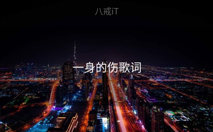 一身的伤歌词