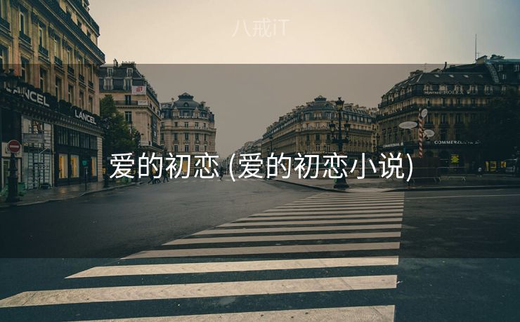 爱的初恋 (爱的初恋小说)