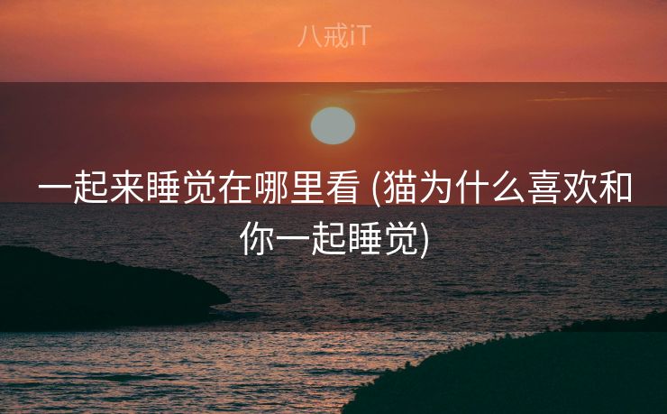 一起来睡觉在哪里看 (猫为什么喜欢和你一起睡觉)