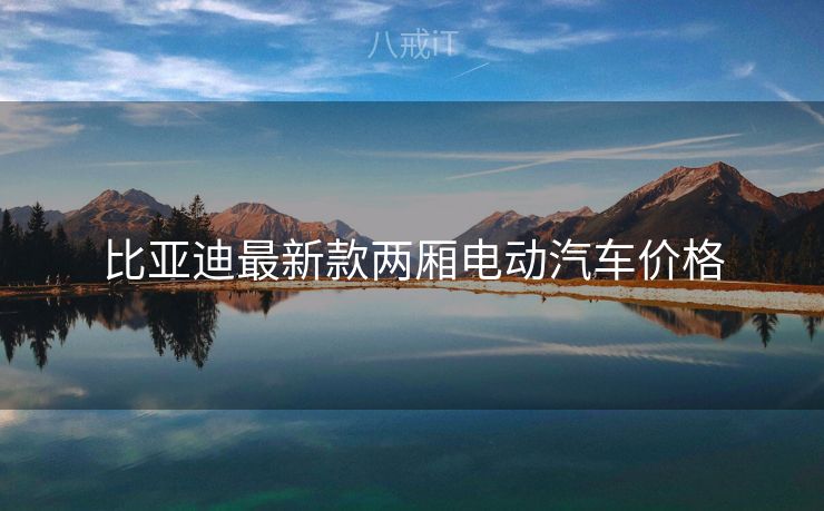 比亚迪最新款两厢电动汽车价格