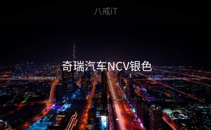  奇瑞汽车NCV银色