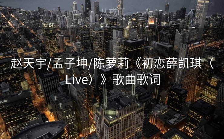 赵天宇/孟子坤/陈萝莉《初恋薛凯琪（Live）》歌曲歌词