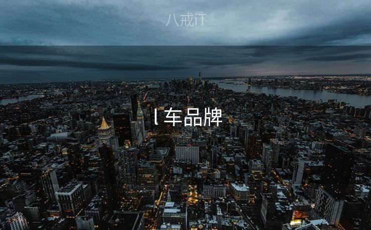 l 车品牌