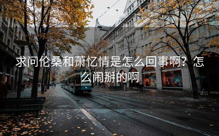 求问伦桑和萧忆情是怎么回事啊？怎么闹掰的啊