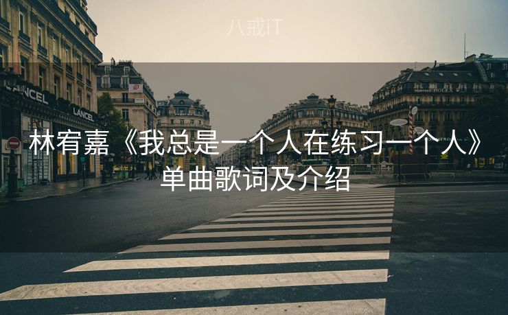 林宥嘉《我总是一个人在练习一个人》单曲歌词及介绍