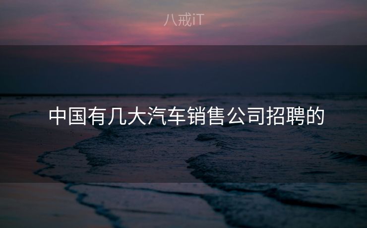  中国有几大汽车销售公司招聘的