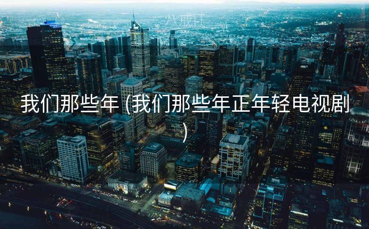 我们那些年 (我们那些年正年轻电视剧)